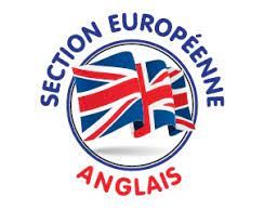 SECTION EUROPEENNE SECTION EUROPEENNE